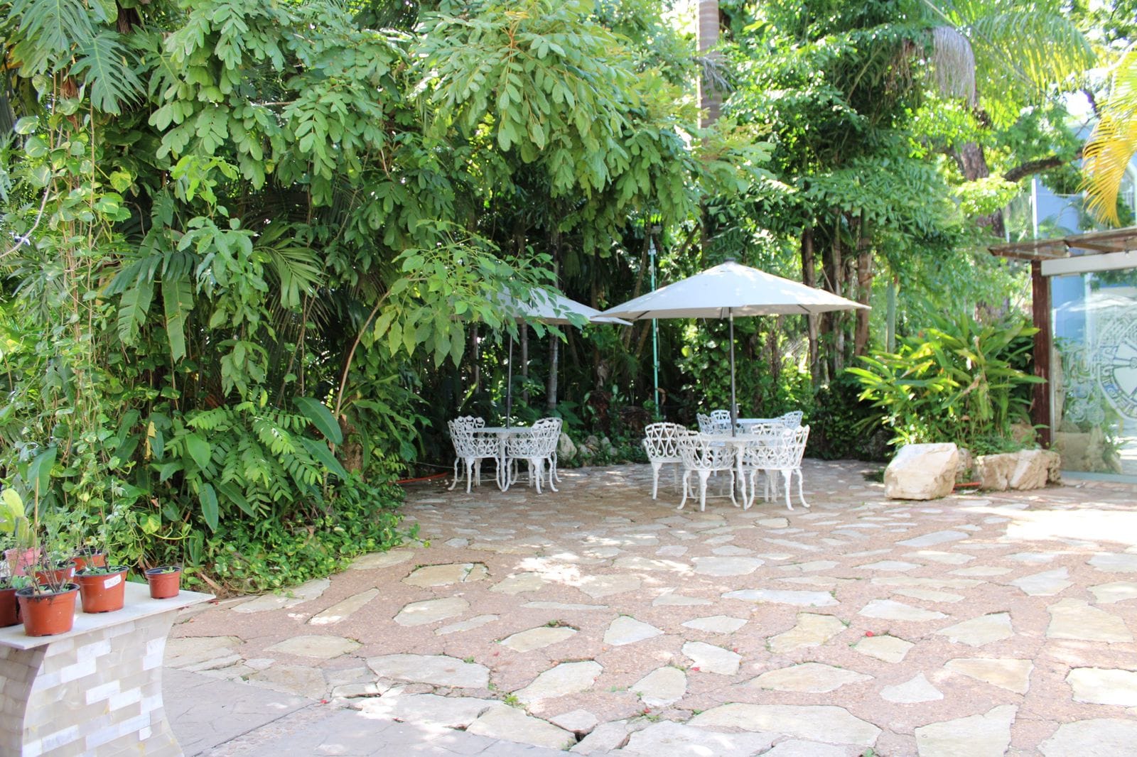 Patio con mesas blancas bajo arboles tropicales